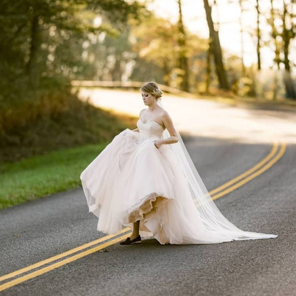 Meet your Posher, Molly